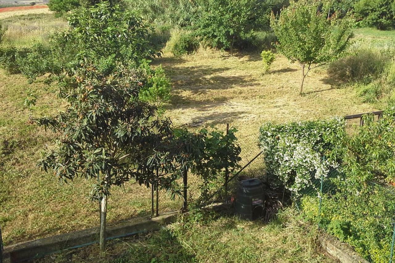 Spazio E Tranquillita A Roma Eksteriør bilde